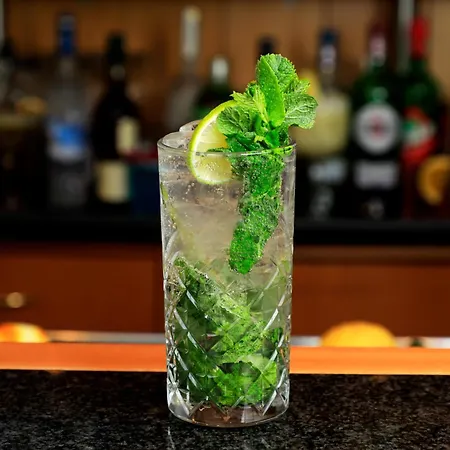 Frankfurt Hotel Bad Vilbel