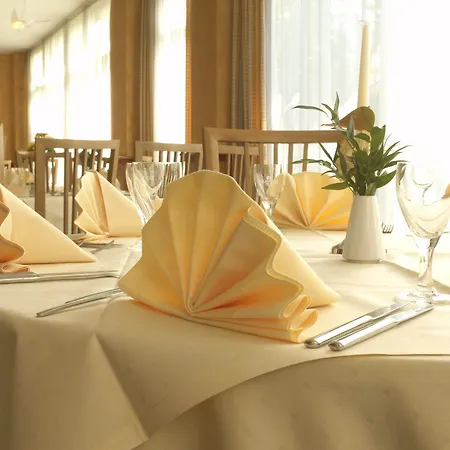 Frankfurt Hotel